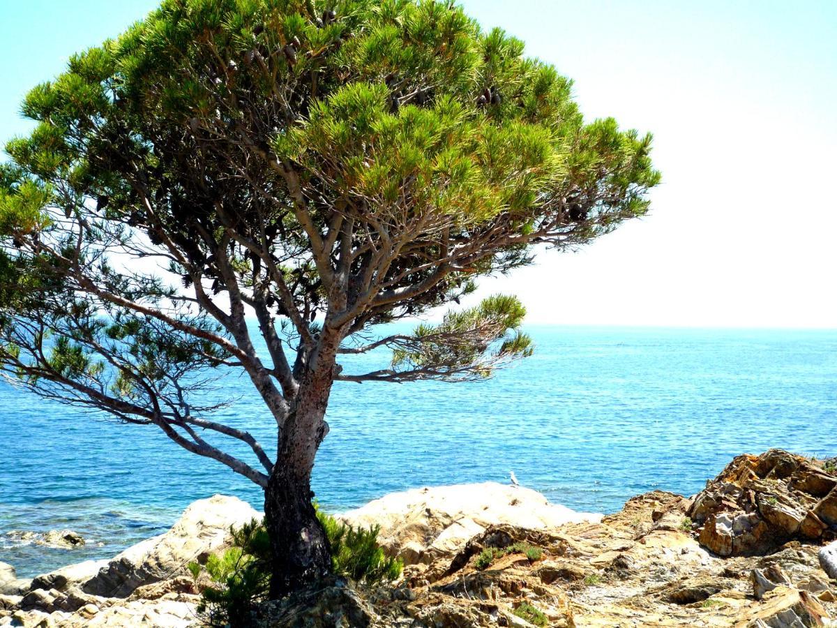 Caseta De Pescadors A Les Cales De Colera, 2ª Linea De Mar Dış mekan fotoğraf