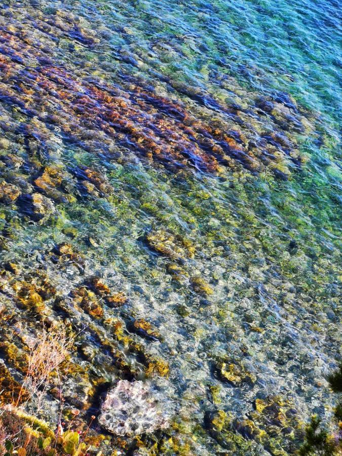 Caseta De Pescadors A Les Cales De Colera, 2ª Linea De Mar Dış mekan fotoğraf